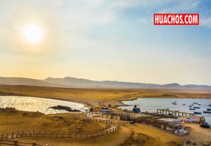 Visita y disfruta los maravillosos atractivos de la Reserva Nacional de Paracas | VIDEO Visita y disfruta los maravillosos atractivos de la Reserva Nacional de Paracas | VIDEO