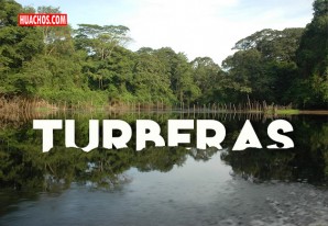 Avances del Perú frente a la emergencia climática son expuestos en la COP26 Avances del Perú frente a la emergencia climática son expuestos en la COP26