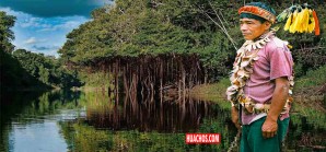 Científicos revalidan conocimientos Urarinos sobre espíritus para la conservación de los ecosistemas Científicos revalidan conocimientos Urarinos sobre espíritus para la conservación de los ecosistemas