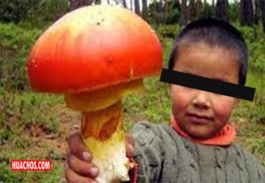 Huancavelica: Niño de tres años fallece tras ingerir hongos silvestres | VIDEO Huancavelica: Niño de tres años fallece tras ingerir hongos silvestres | VIDEO