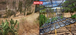 Ideas innovadoras para 'curar' la pequeña agricultura de la depresión crónica Ideas innovadoras para 'curar' la pequeña agricultura de la depresión crónica