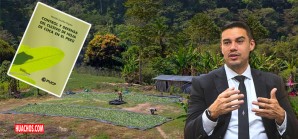 Perú produce 10 veces más de hoja de coca de la que consumimos. ¿Qué hacemos con el resto? Perú produce 10 veces más de hoja de coca de la que consumimos. ¿Qué hacemos con el resto?