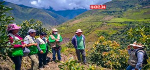 Pueblo que es puerta de entrada y salida del Vraem, quiere tener una "agricultura diferente" Pueblo que es puerta de entrada y salida del Vraem, quiere tener una "agricultura diferente"