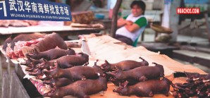 La tésis que el Mercado de Wuhan (China) fue el epicentro del Covid-19 cobra más fuerza La tésis que el Mercado de Wuhan (China) fue el epicentro del Covid-19 cobra más fuerza