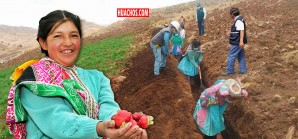 177 mil mujeres huancavelicanas se acuerdan del Día Internacional de la Mujer 177 mil mujeres huancavelicanas se acuerdan del Día Internacional de la Mujer