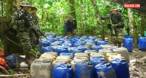 Narcotráfico en el Perú: cuestionan eficacia de la lucha antidrogas | VIDEO Narcotráfico en el Perú: cuestionan eficacia de la lucha antidrogas | VIDEO