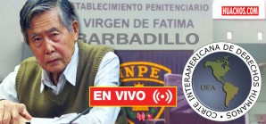 CIDH realiza audiencia pública para ver medidas cautelares sobre indulto | DIRECTO CIDH realiza audiencia pública para ver medidas cautelares sobre indulto | DIRECTO