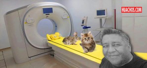 Les dan gato por liebre por la módica suma de tres millones de soles Les dan gato por liebre por la módica suma de tres millones de soles