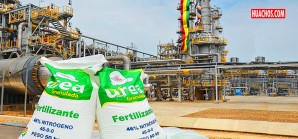 ¿Pudo tener el Perú una planta de urea en 2011? ¿Pudo tener el Perú una planta de urea en 2011?