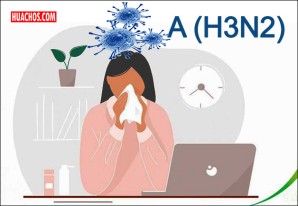 Minsa lanzó alerta epidemiológica a nivel nacional por brotes de influenza A(H3N2) Minsa lanzó alerta epidemiológica a nivel nacional por brotes de influenza A(H3N2)