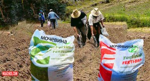 La escasez de fertilizantes en Perú es real: ¿Cómo impactará y cómo enfrentarla? La escasez de fertilizantes en Perú es real: ¿Cómo impactará y cómo enfrentarla?
