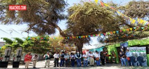 Ica: Huarango de 600 años es reconocido como Árbol Patrimonial en Nasca Ica: Huarango de 600 años es reconocido como Árbol Patrimonial en Nasca