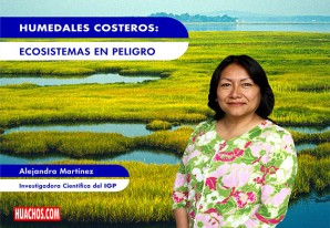 IGP: Humedales costeros, ecosistemas en peligro IGP: Humedales costeros, ecosistemas en peligro