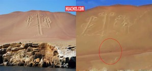 Visitantes pisotearon el Candelabro de Paracas tras ingresar en camioneta al Patrimonio Visitantes pisotearon el Candelabro de Paracas tras ingresar en camioneta al Patrimonio