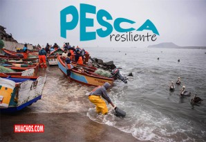Documental: "Pesca Resiliente" | VIDEO Documental: "Pesca Resiliente" | VIDEO
