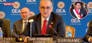 A pedido de Castillo, la OEA enviará una misión "para poner orden" en el Perú A pedido de Castillo, la OEA enviará una misión "para poner orden" en el Perú