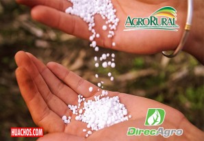 AgroRural: Para jalarse los pelos de desesperación ante tanta incompetencia AgroRural: Para jalarse los pelos de desesperación ante tanta incompetencia