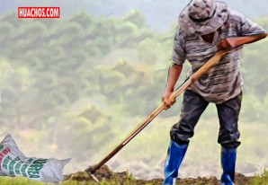 A un año del Decreto de Urgencia el gobierno no trajo un solo saco de urea al Perú A un año del Decreto de Urgencia el gobierno no trajo un solo saco de urea al Perú