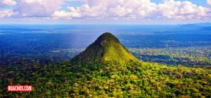 Sierra del Divisor y la increíble diversidad de ecosistemas del Perú - VIDEO Sierra del Divisor y la increíble diversidad de ecosistemas del Perú - VIDEO