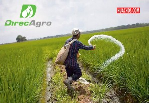 Los paraguayos de Direcagro juran que urea llegaría el 30 de enero 2023 Los paraguayos de Direcagro juran que urea llegaría el 30 de enero 2023