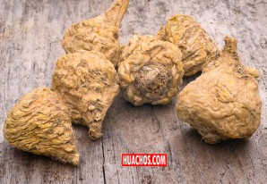 Superalimento: la maca y su gran poder nutritivo | VIDEO Superalimento: la maca y su gran poder nutritivo | VIDEO
