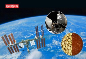 El futuro: Mejorar semillas con la radiación cósmica | VIDEO El futuro: Mejorar semillas con la radiación cósmica | VIDEO