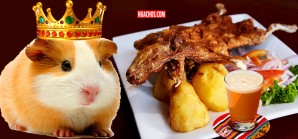 Su majestad el cuy: especialistas recomiendan comerlos más seguido Su majestad el cuy: especialistas recomiendan comerlos más seguido