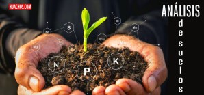 Análisis de suelos, una práctica indispensable y olvidada en la agricultura peruana | VIDEO Análisis de suelos, una práctica indispensable y olvidada en la agricultura peruana | VIDEO