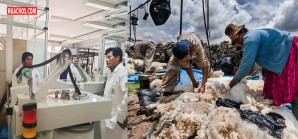 La solución a un problema comercial secular estaba allí mismo frente a ellos La solución a un problema comercial secular estaba allí mismo frente a ellos