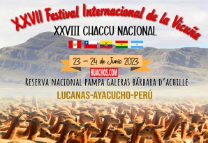 Fiesta de la vicuña 2023: Reserva Nacional Pampa Galeras celebrará tradicional Chaccu Fiesta de la vicuña 2023: Reserva Nacional Pampa Galeras celebrará tradicional Chaccu