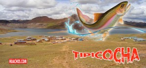 “Festival Anual de la Trucha 2023” en la laguna de Tipicocha, Chupamarca - Castrovirreyna “Festival Anual de la Trucha 2023” en la laguna de Tipicocha, Chupamarca - Castrovirreyna