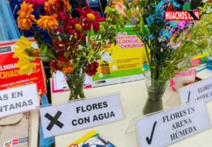 Día del Padre: floreros con arena húmeda evitará la proliferación del zancudo Día del Padre: floreros con arena húmeda evitará la proliferación del zancudo