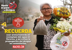 Especialistas del INS estudian el ciclo de vida del zancudo Aedes Aegypti Especialistas del INS estudian el ciclo de vida del zancudo Aedes Aegypti