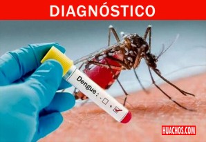 Lista de laboratorios, a nivel nacional, que realizan el Diagnóstico del Dengue Lista de laboratorios, a nivel nacional, que realizan el Diagnóstico del Dengue