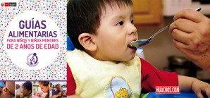 “Guías Alimentarias para niños y niñas menores a 2 años de edad”. “Guías Alimentarias para niños y niñas menores a 2 años de edad”.