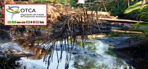 No se lograron acuerdos importantes concretos para proteger la Amazonía No se lograron acuerdos importantes concretos para proteger la Amazonía