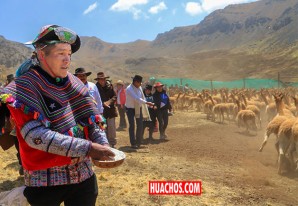 Huancavelica celebra el cada año su tradicional Festival del Chaccu Ecoturístico | VIDEO Huancavelica celebra el cada año su tradicional Festival del Chaccu Ecoturístico | VIDEO