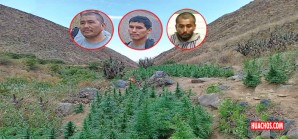 La serranía de Chincha se ha convertido en el "pequeño Vraem" del desierto La serranía de Chincha se ha convertido en el "pequeño Vraem" del desierto