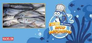 Terminó la veda del popular Jurel y comienza la pesca para pescadores artesanales Terminó la veda del popular Jurel y comienza la pesca para pescadores artesanales