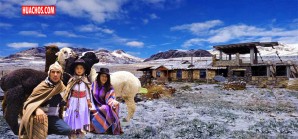 Los criadores de alpacas y llamas huancavelicanas se modernizan | VIDEO Los criadores de alpacas y llamas huancavelicanas se modernizan | VIDEO
