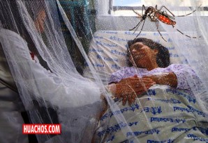 Temporada crítica de dengue en Ica, reportan más de 17 mil casos y 50 muertes en lo que va del año Temporada crítica de dengue en Ica, reportan más de 17 mil casos y 50 muertes en lo que va del año