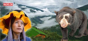 Misión: salvar al oso andino en lo más profundo del bosque nublado del Perú Misión: salvar al oso andino en lo más profundo del bosque nublado del Perú