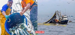 Ministerio de la Producción establece cuotas de pesca para jurel y caballa para 2024 Ministerio de la Producción establece cuotas de pesca para jurel y caballa para 2024