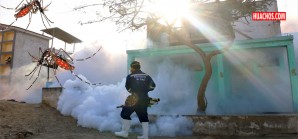 Casos de dengue se incrementaron últimamente en 72% a nivel nacional Casos de dengue se incrementaron últimamente en 72% a nivel nacional