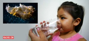 En ciertos lugares, hervir el agua para luego beberla debe ser un hábito necesario En ciertos lugares, hervir el agua para luego beberla debe ser un hábito necesario