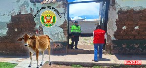 En el Congreso es época de vacas gordas, pero en comisarías pueblerinas es de vacas flacas En el Congreso es época de vacas gordas, pero en comisarías pueblerinas es de vacas flacas