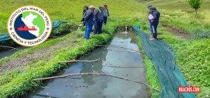 Noticia para los emprendedores trucheros del distrito de Huachos Noticia para los emprendedores trucheros del distrito de Huachos