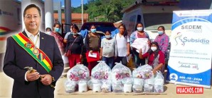 Moneda boliviana habría perdido el 40% de su valor Moneda boliviana habría perdido el 40% de su valor