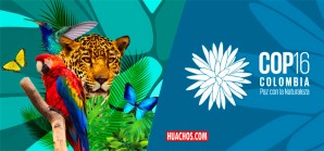 16e Conferencia de la ONU por la biodiversidad y el clima en Colombia - Cali | VIDEO 16e Conferencia de la ONU por la biodiversidad y el clima en Colombia - Cali | VIDEO