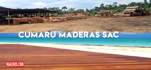 Desbaratan banda ‘Los Villanos de Tahuamanu’ que exportaba madera ilegal a varios países Desbaratan banda ‘Los Villanos de Tahuamanu’ que exportaba madera ilegal a varios países